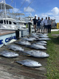 Nags Head Report Photo 1