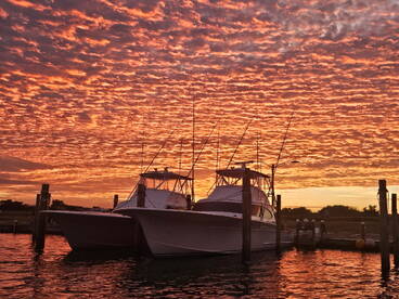 Some nice pictures of our boat customers