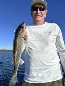 Branson Report Photo 2