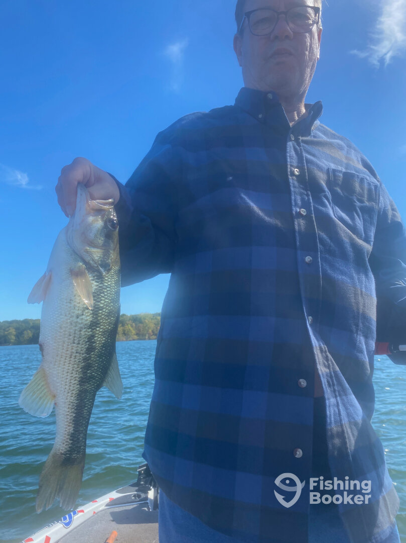 Branson Report Photo 0