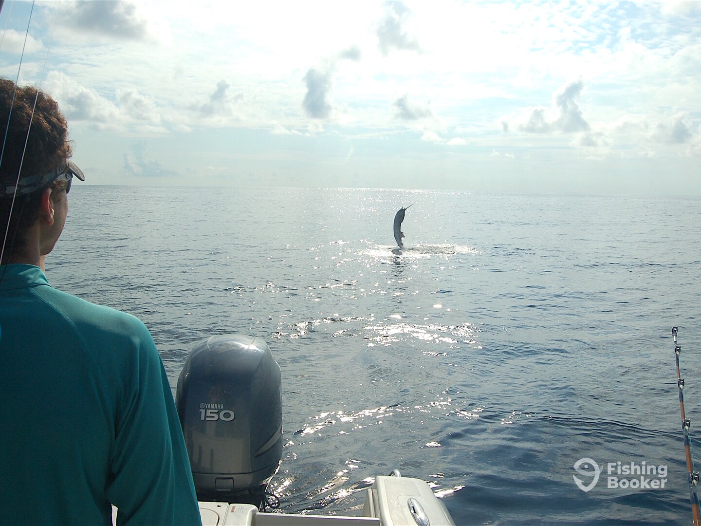 Nate fights a sailfish found around Irma debris.