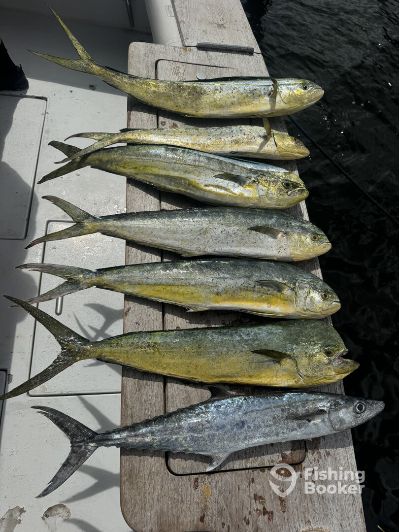 Pompano Beach Report Photo 0