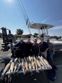 Little Elm Report Photo 1