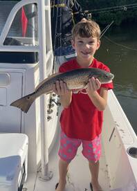 Clearwater Report Photo 1