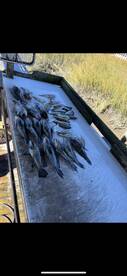 Holden Beach Report Photo 2