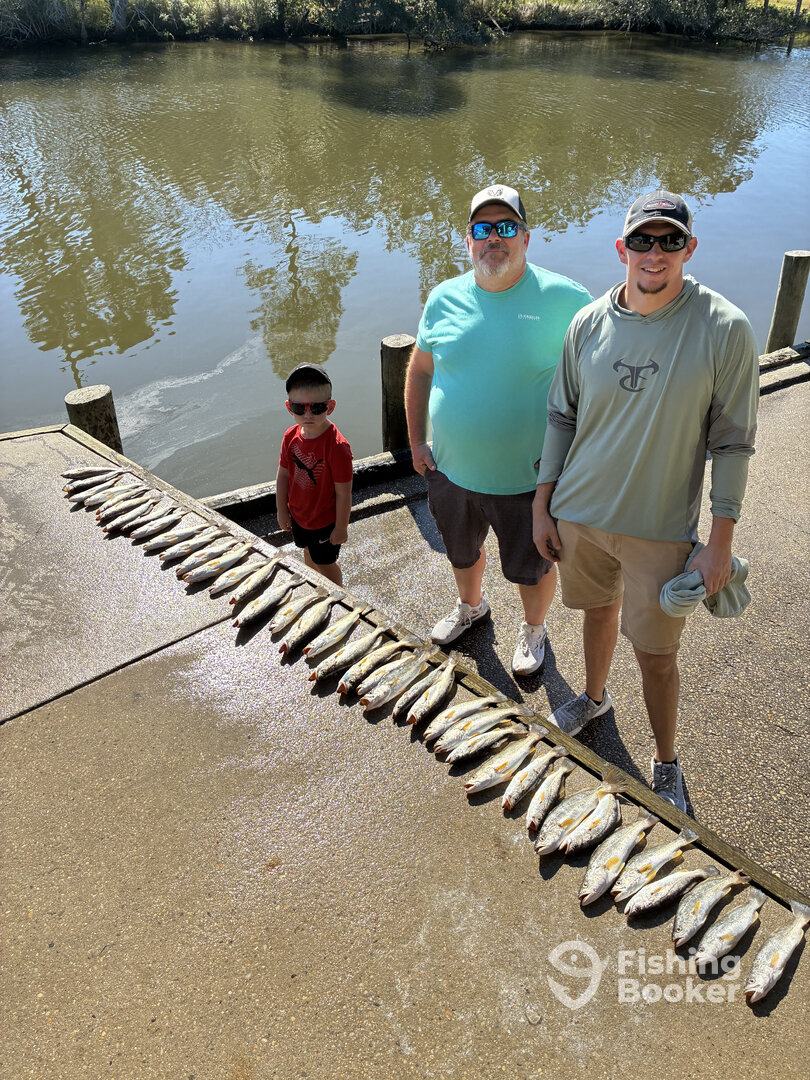 Gulf Shores Report Photo 0