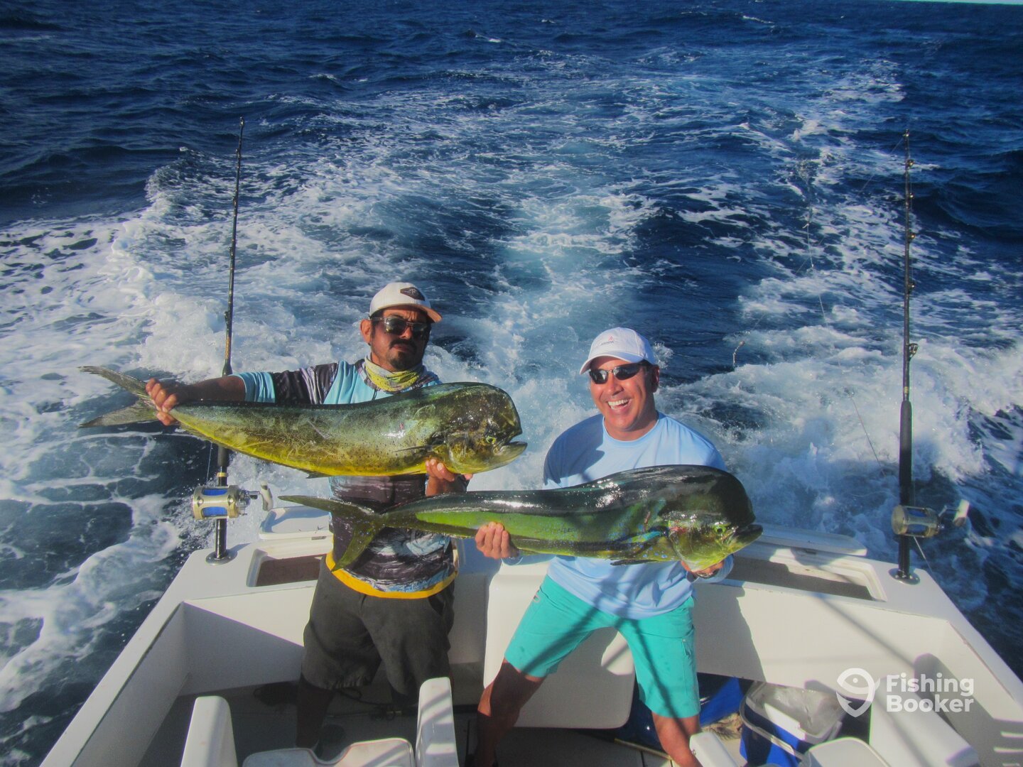 Cabo San Lucas Report Photo 0