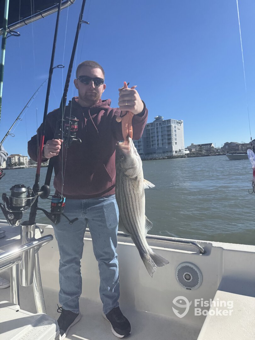 Ocean City Report Photo 0