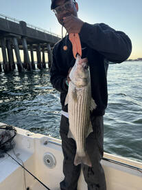 Maryland Report Photo 2