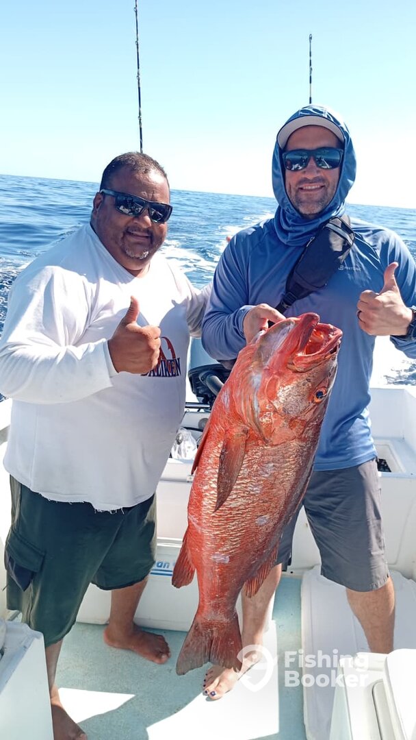 San Jose del Cabo Report Photo 0