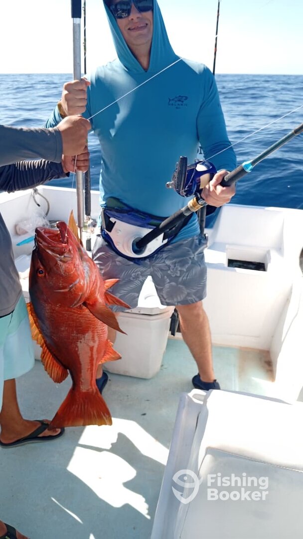 Los Cabos Report Photo 0