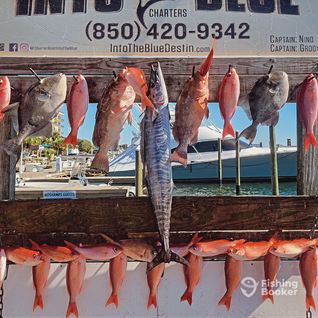 Destin Report Photo 0