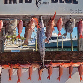 Destin Report Photo 2