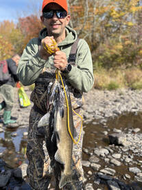 Good fishing still !