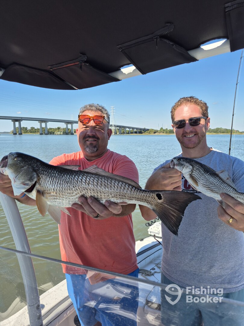 Hilton Head Island Report Photo 0