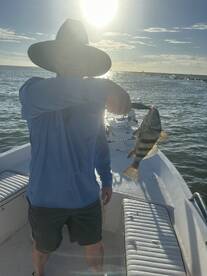 Pelican Island Report Photo 1