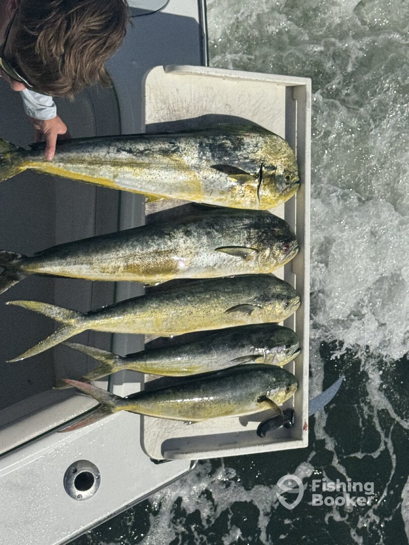 Fort Lauderdale Report Photo 0