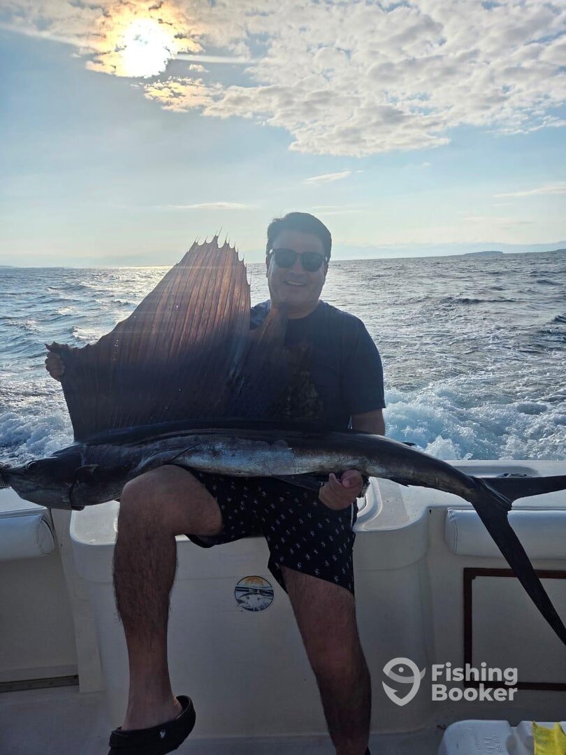 Nuevo Vallarta Report Photo 0