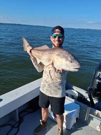 Hilton Head Island Report Photo 2