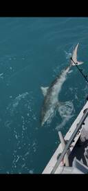 Key West Report Photo 1