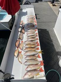 Key West Report Photo 2