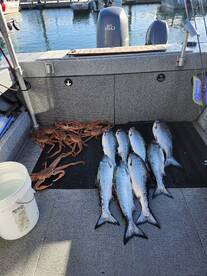 Alaska Report Photo 1