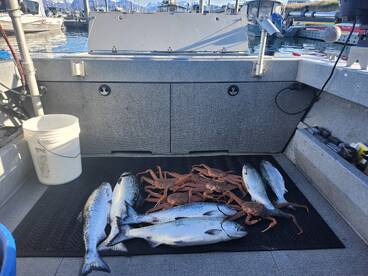 Alaska Report Photo 2