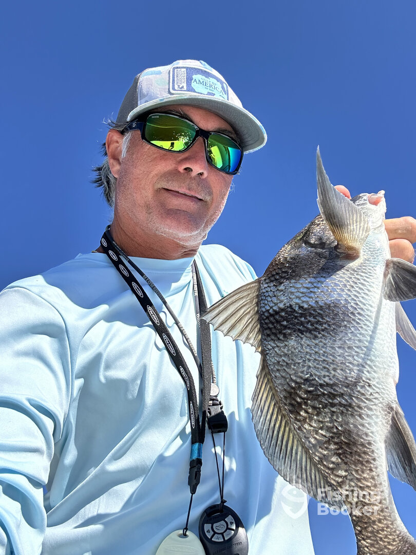 Panacea Report Photo 0