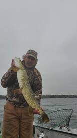 Minnesota Report Photo 2