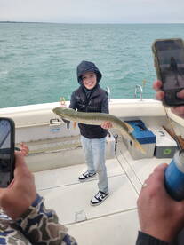 Genesee County Report Photo 4