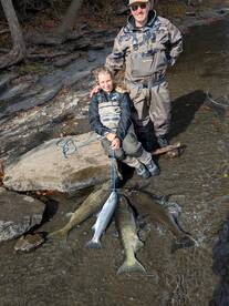 Richland Report Photo 2