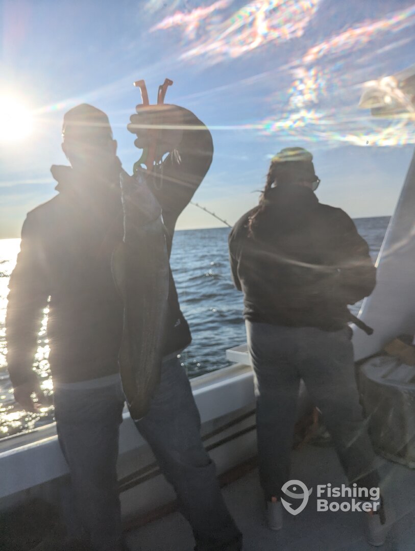 Massachusetts Report Photo 0