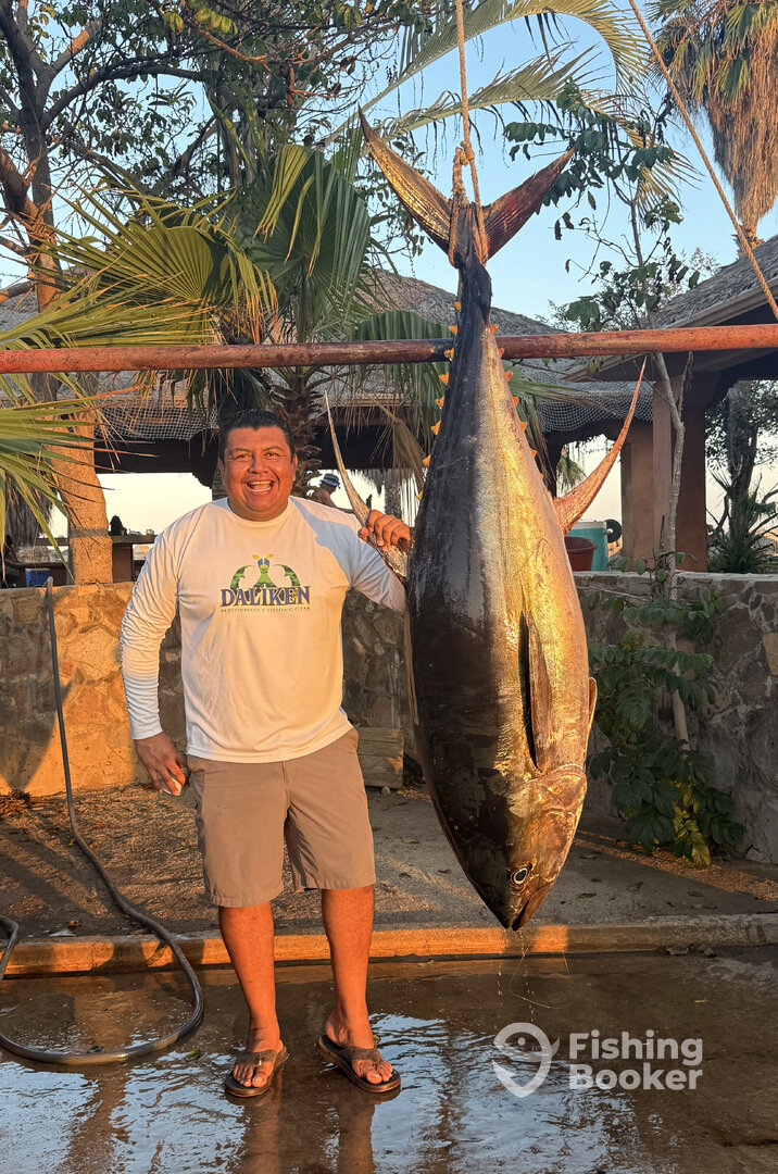 Los Cabos Report Photo 0