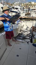 Los Cabos Report Photo 1