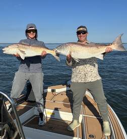Lots of Redfish