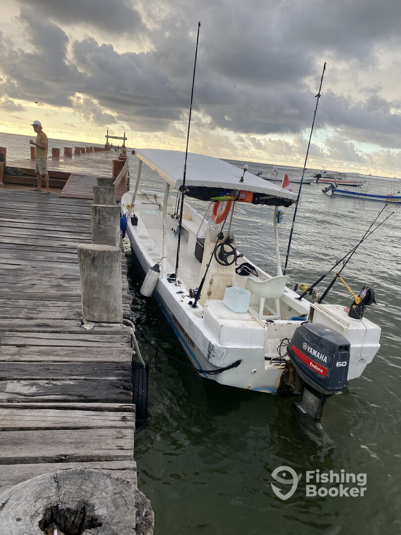 Puerto Morelos Report Photo 0