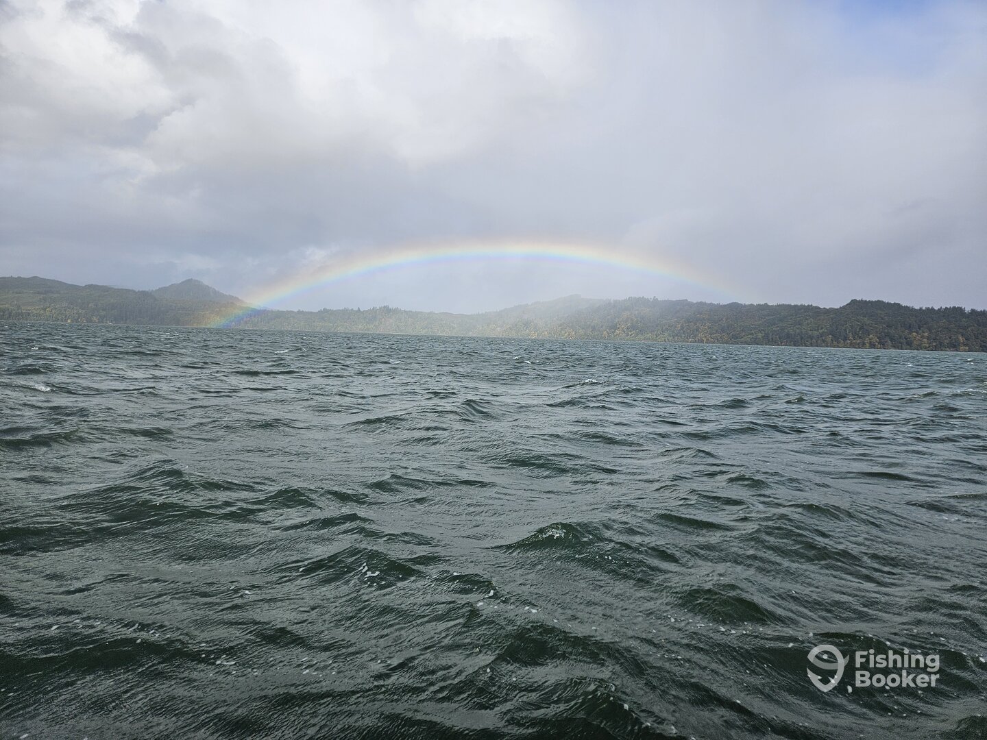 Oregon Report Photo 0