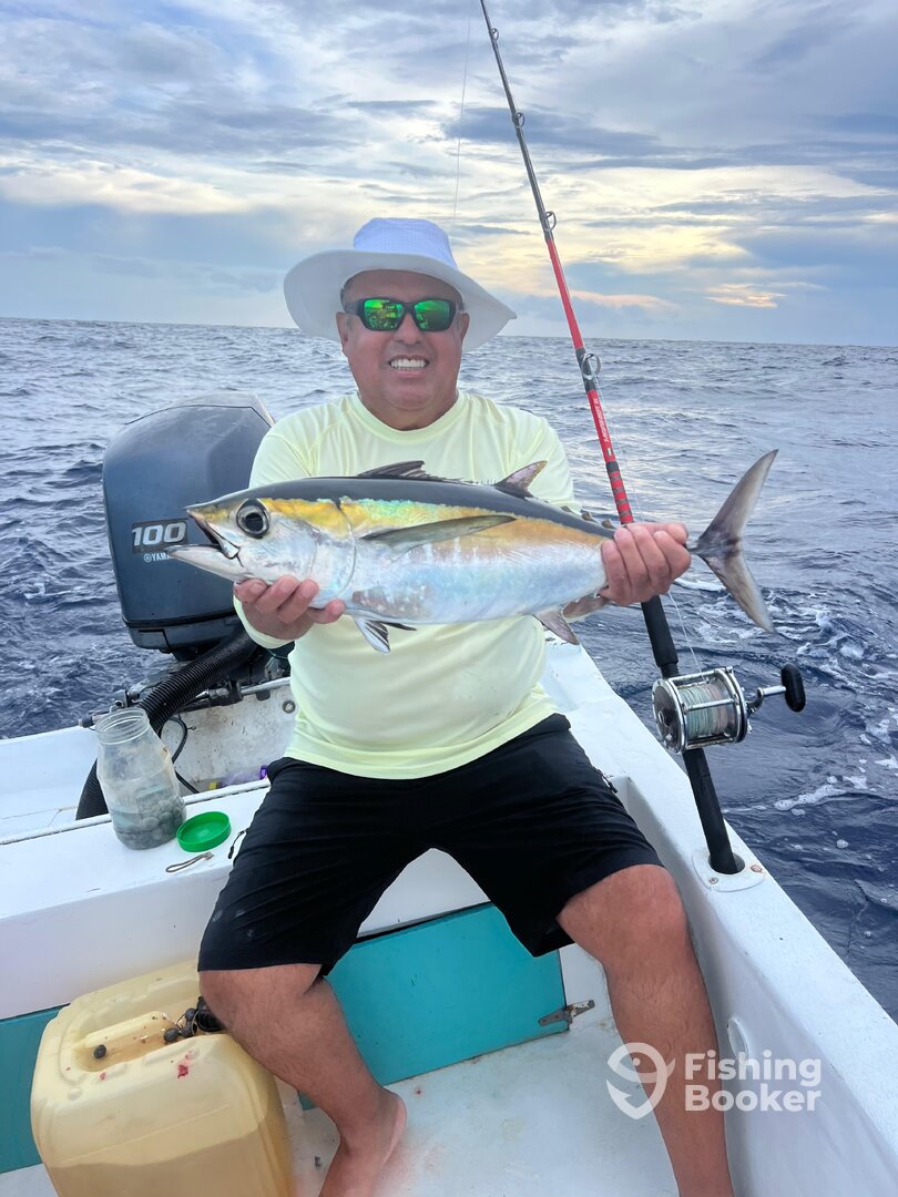 Playa Del Carmen Report Photo 0