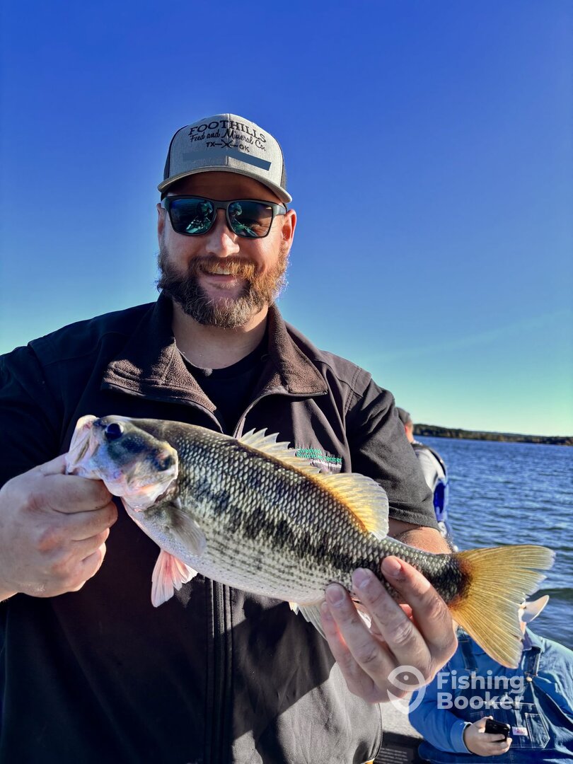 Branson Report Photo 0