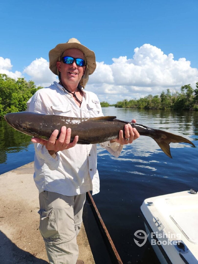 Punta Gorda Report Photo 0
