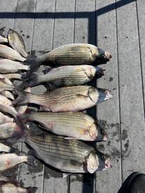 Oklahoma Report Photo 2