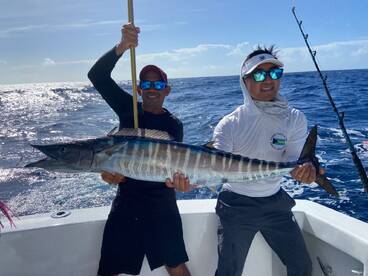 Punta Cana Report Photo 1