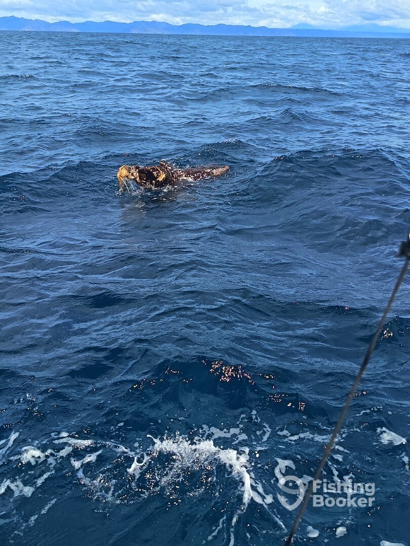 Guanacaste Report Photo 0