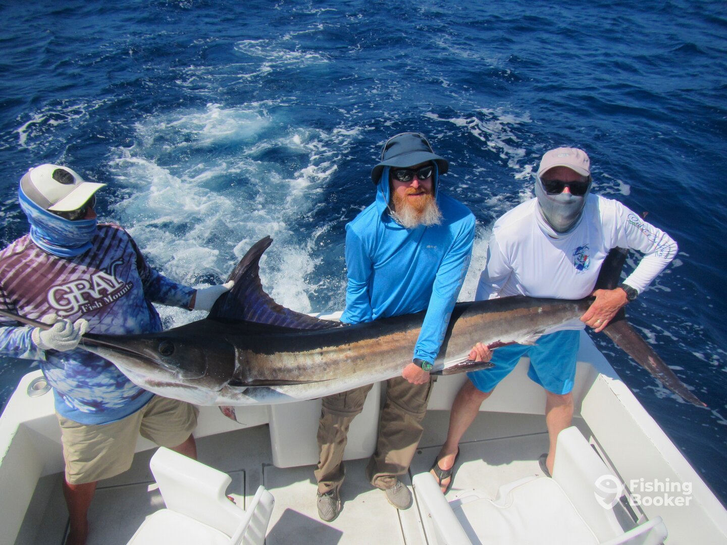 Cabo San Lucas Report Photo 0
