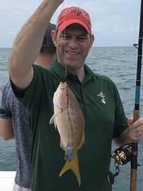 Fat yellow tail