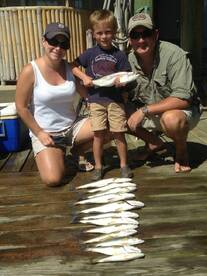 The Seatrout and Sand Trout are Cooperat