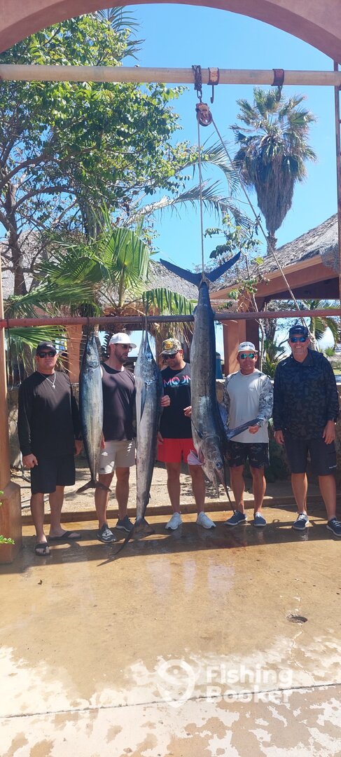 San Jose del Cabo Report Photo 0