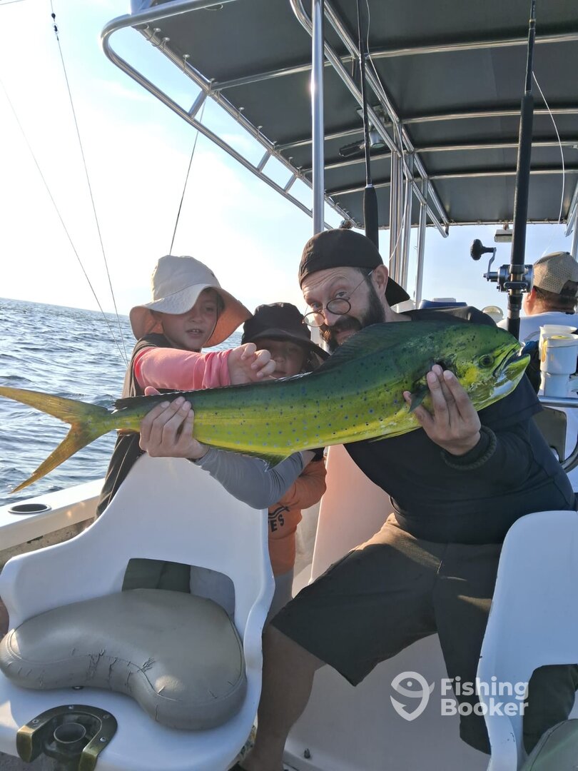 Puerto Vallarta Report Photo 0