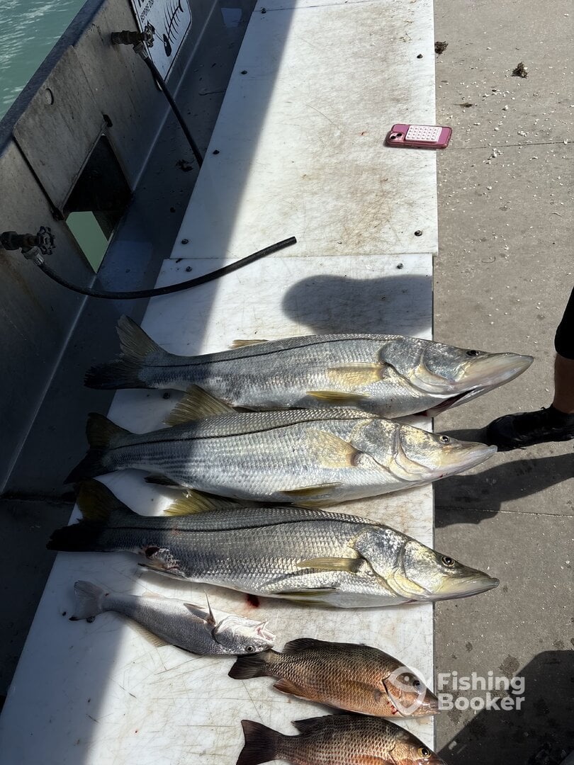 Port Canaveral Report Photo 0