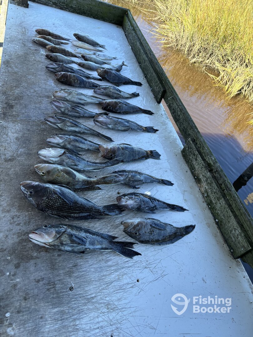 Holden Beach Report Photo 0